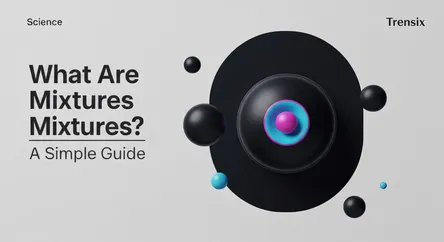 What Are Mixtures? A Simple Guide