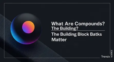 What Are Compounds? The Building Blocks of Matter