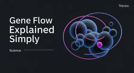 Gene Flow Explained Simply