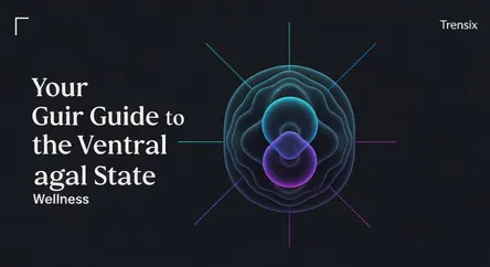 Your Guide to the Ventral Vagal State