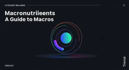 Macronutrients Explained: A Guide to Macros