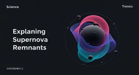 Explaining Supernova Remnants