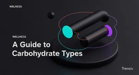 A Guide to Carbohydrate Types