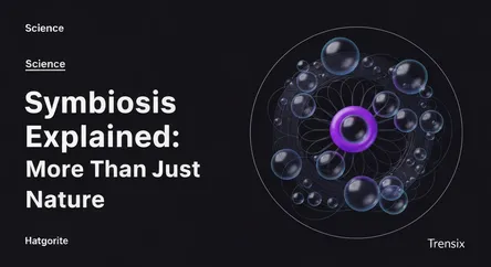 Symbiosis Explained: More Than Just Nature
