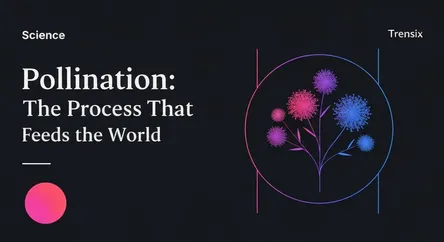 Pollination: The Process That Feeds the World