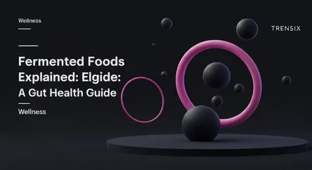 Fermented Foods Explained: A Gut Health Guide