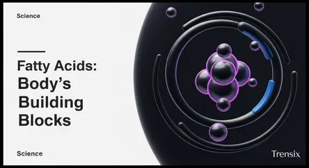Fatty Acids: Body's Building Blocks