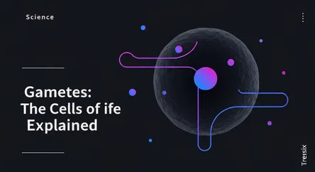 Gametes: The Cells of Life Explained