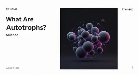What Are Autotrophs?