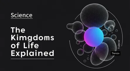 The Kingdoms of Life Explained