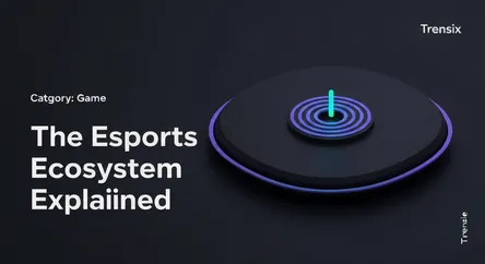 The Esports Ecosystem Explained