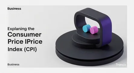 Explaining the Consumer Price Index (CPI)
