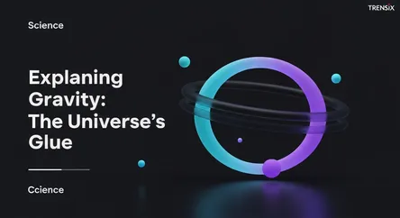 Explaining Gravity: The Universe's Glue