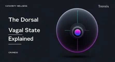 The Dorsal Vagal State Explained