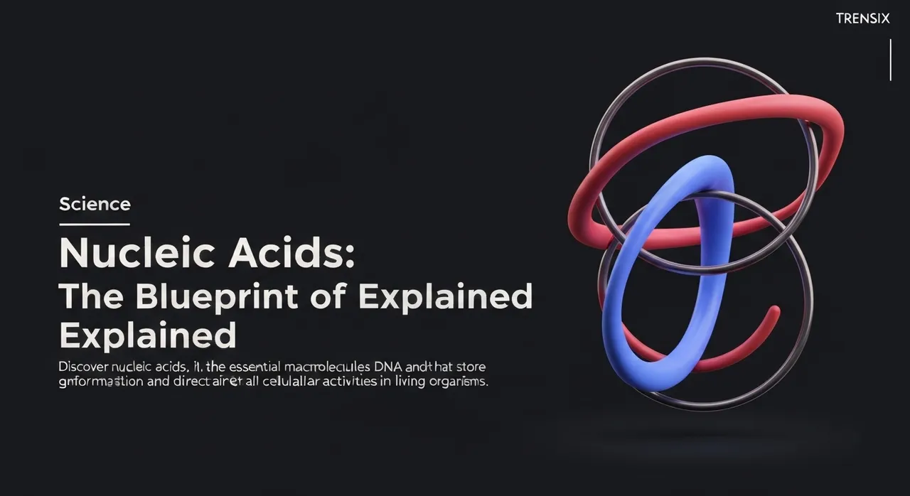 Nucleic Acids: The Blueprint of Life Explained