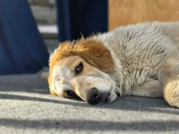 WhatsApp Image 2026-01-15 at 8.21.10 PM