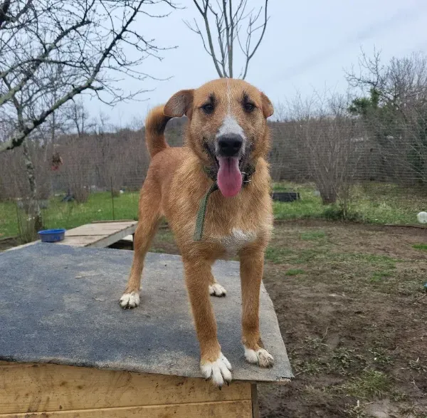 photo_2026-04-04_16-32-42