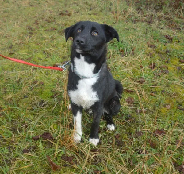 photo_2026-04-04_16-25-03