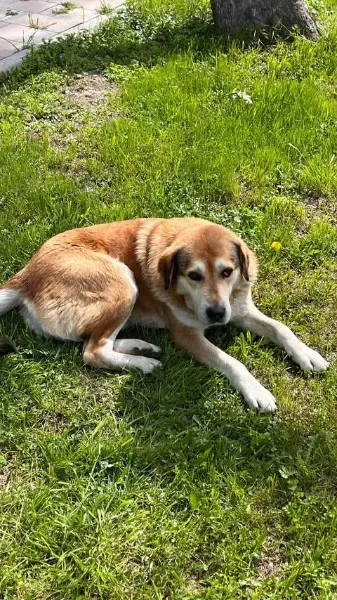 IMG_20260407_174013_207