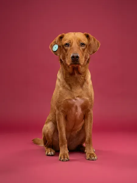 _Gemini_Generated_Image_37kwe137kwe137kw