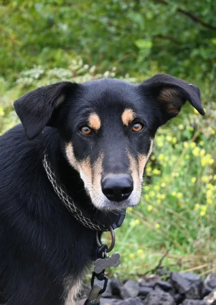 8cfbf40b-b54a-462f-b67a-1eddf16f0477