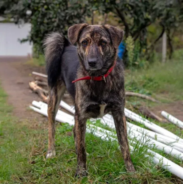 photo_2026-04-04_16-37-46
