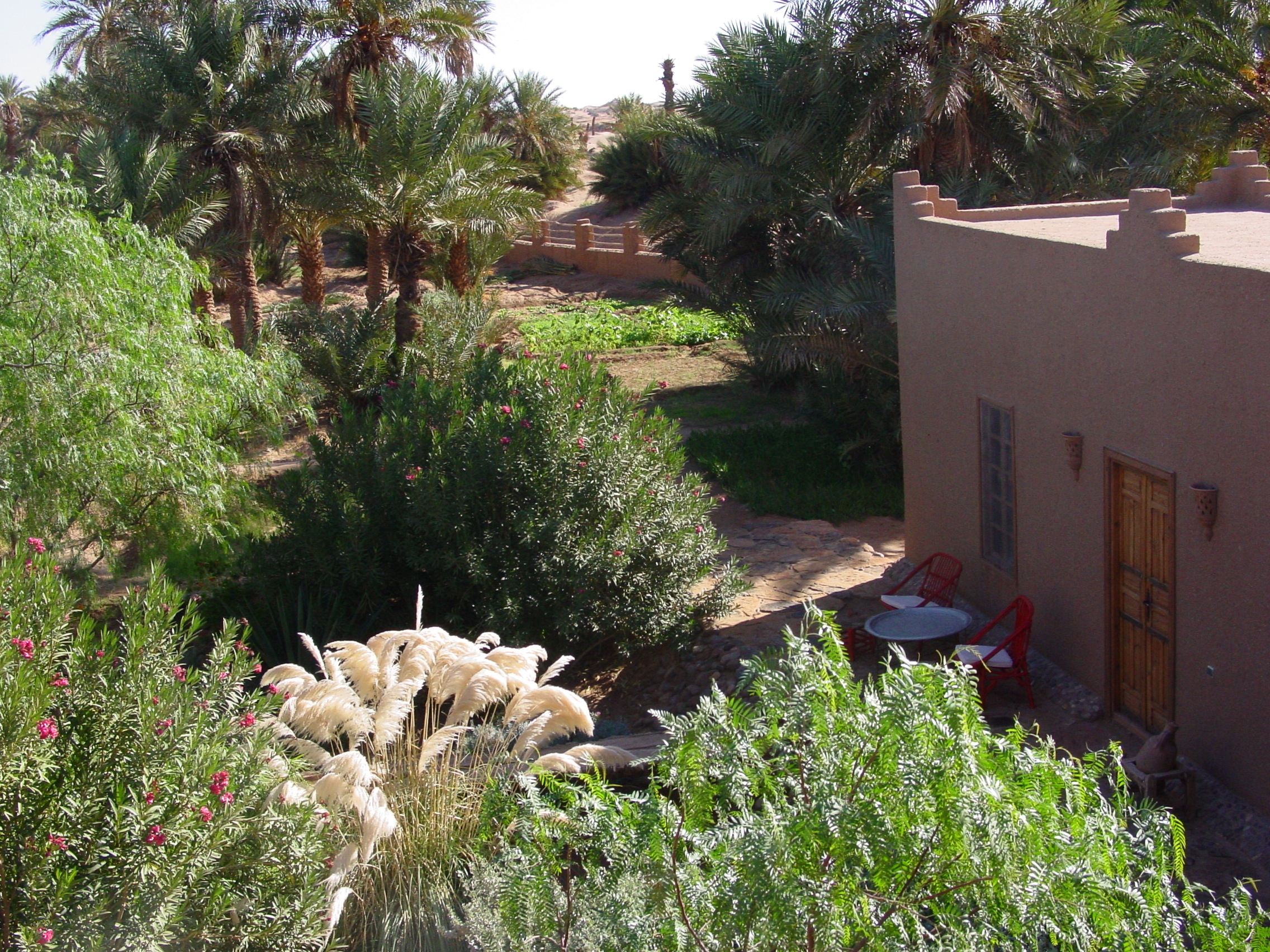 Retraite de méditation dans le désert marocain - 3