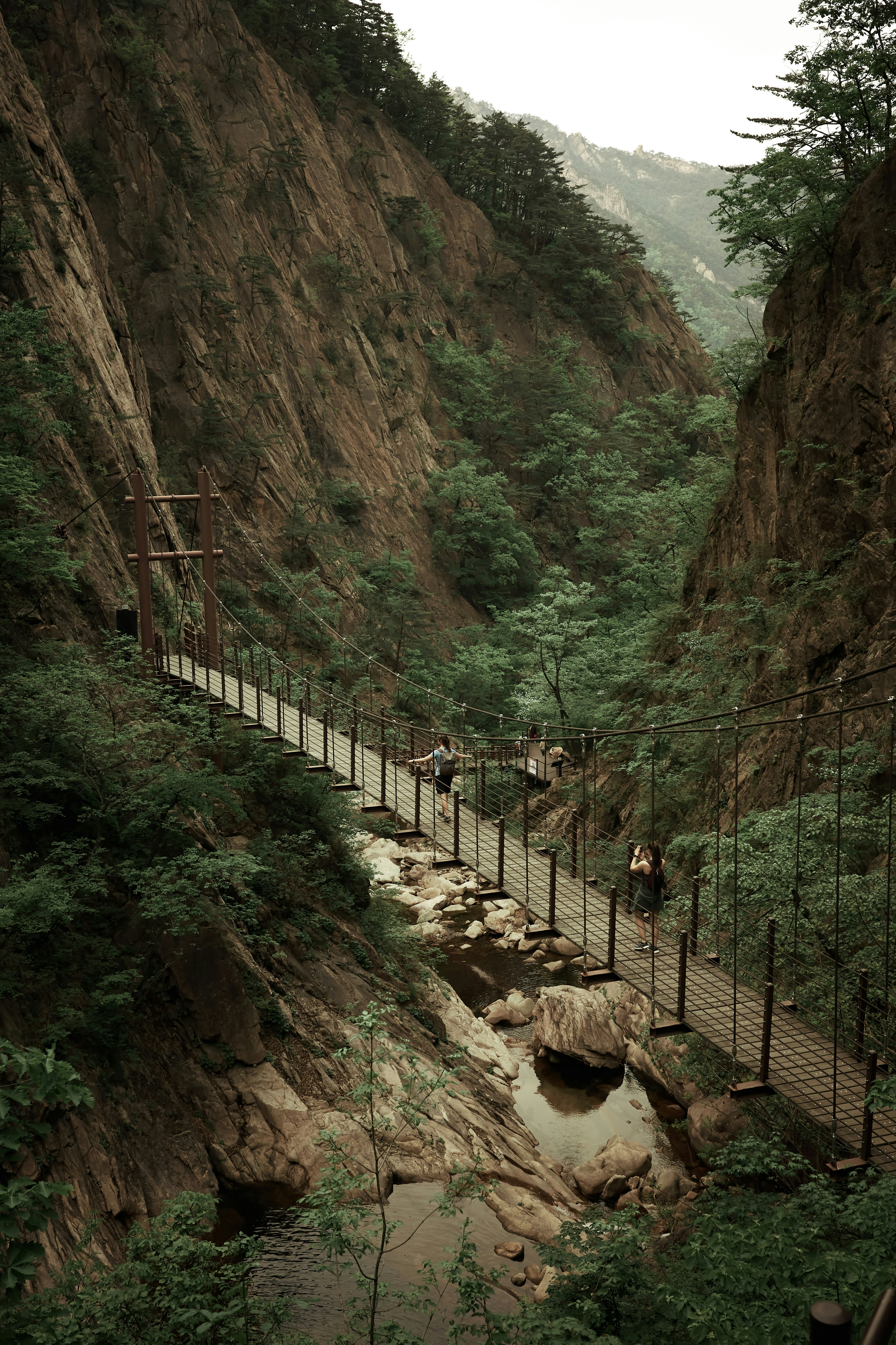 8D SUPER BEST SAVER ZHANGJIAJIE