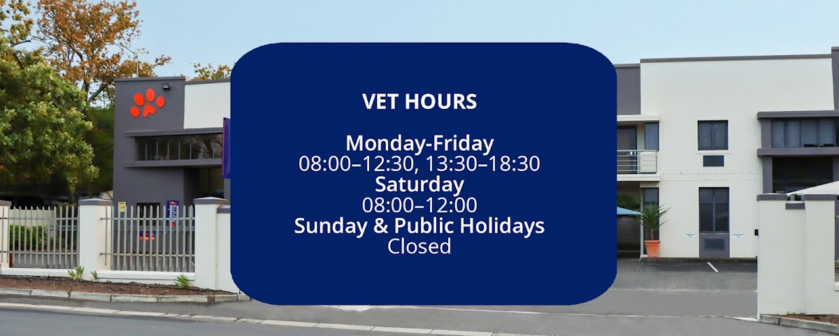 TAH Plein Street Durbanville logo