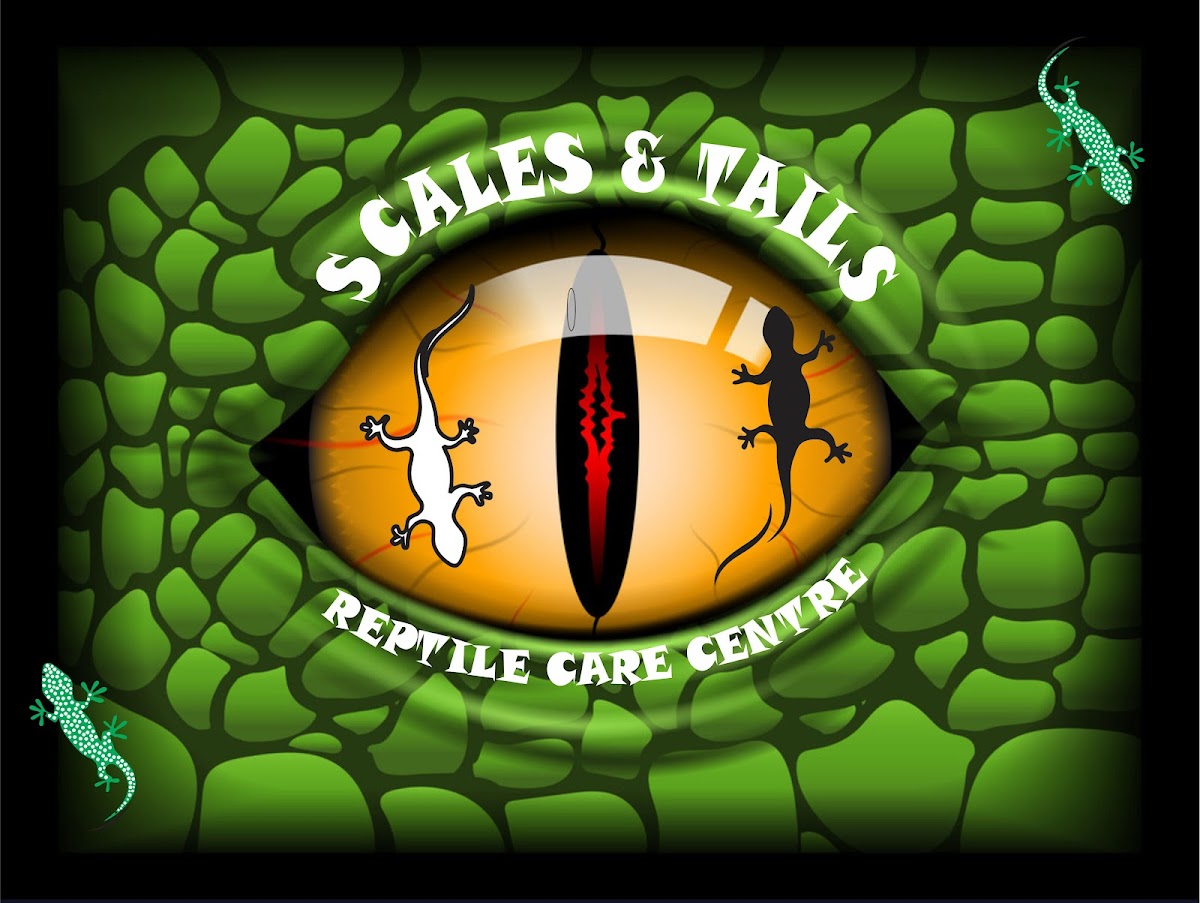 Scales and Tails Reptile Shop logo