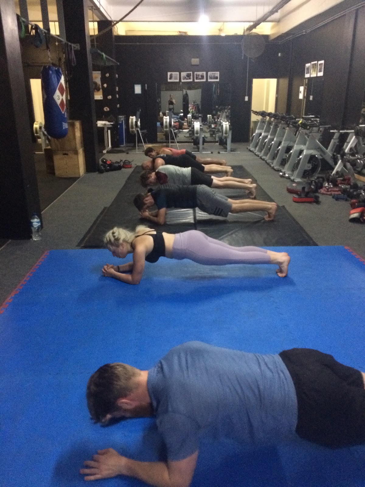 Vector MMA & Fitness Logo