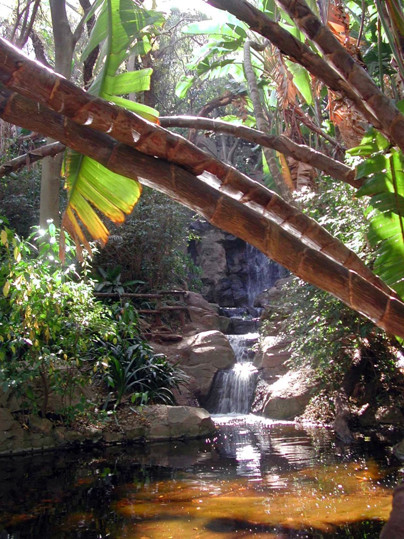 Pretoria National Botanical Gardens cover