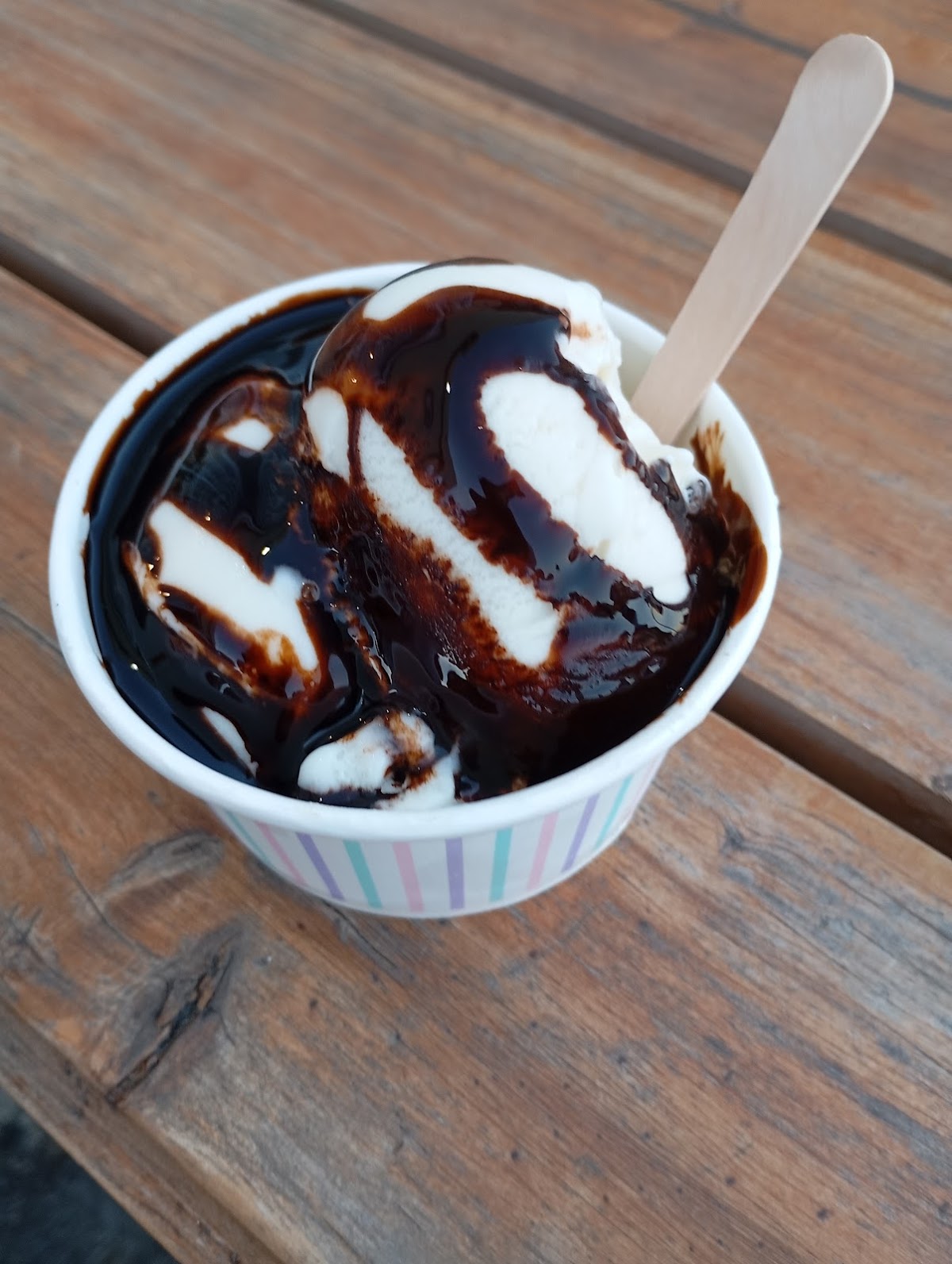 The Starboard Coffee Company logo