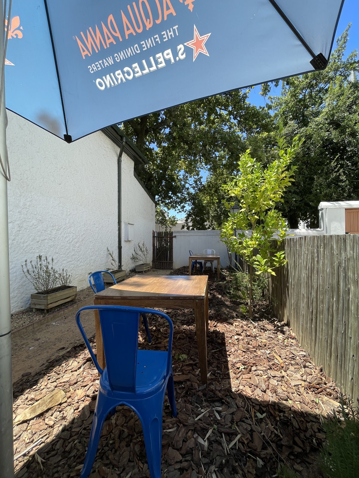 Stellenbosch Street Soirees Logo