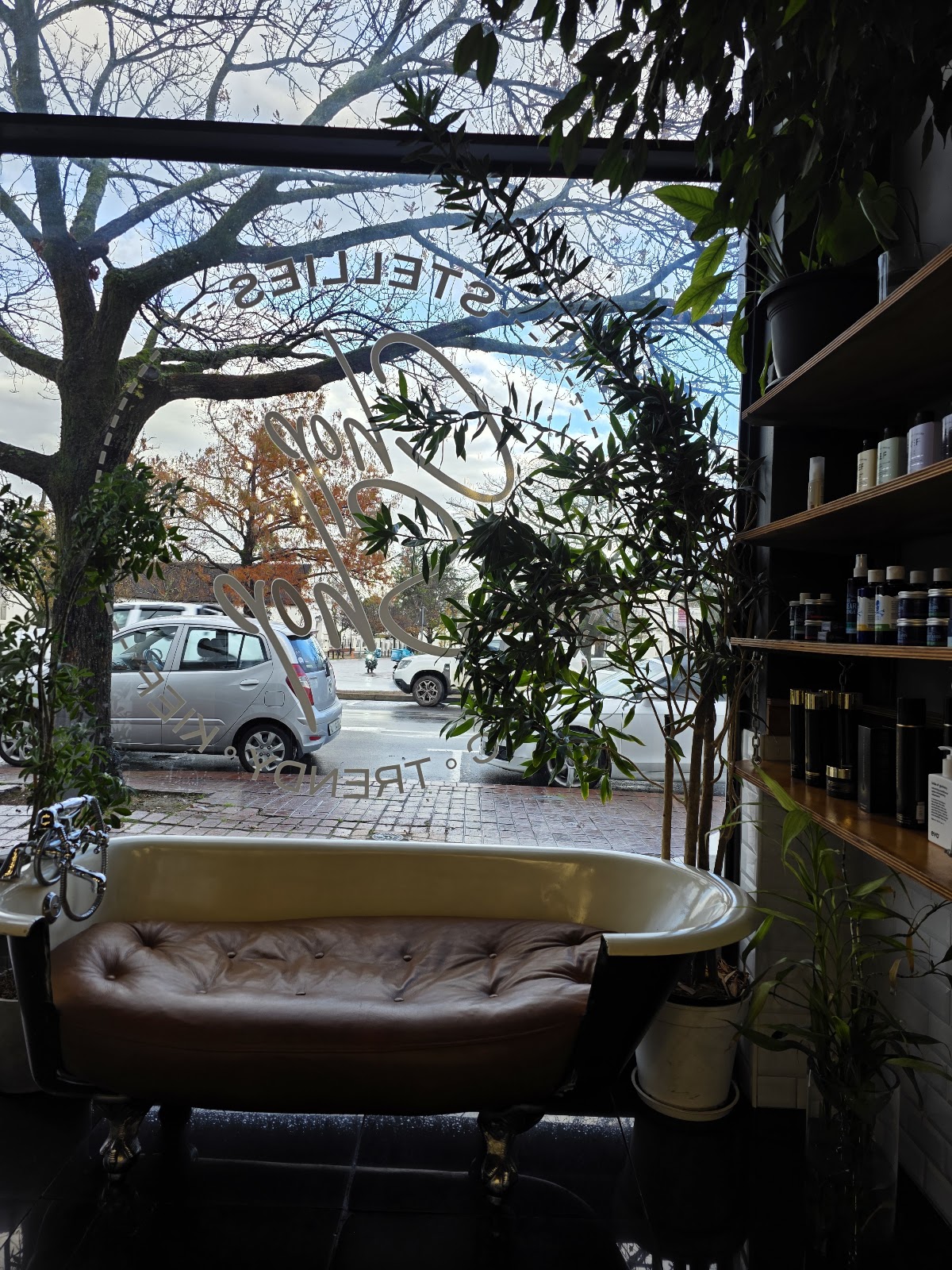 Stellies Chop Shop Logo