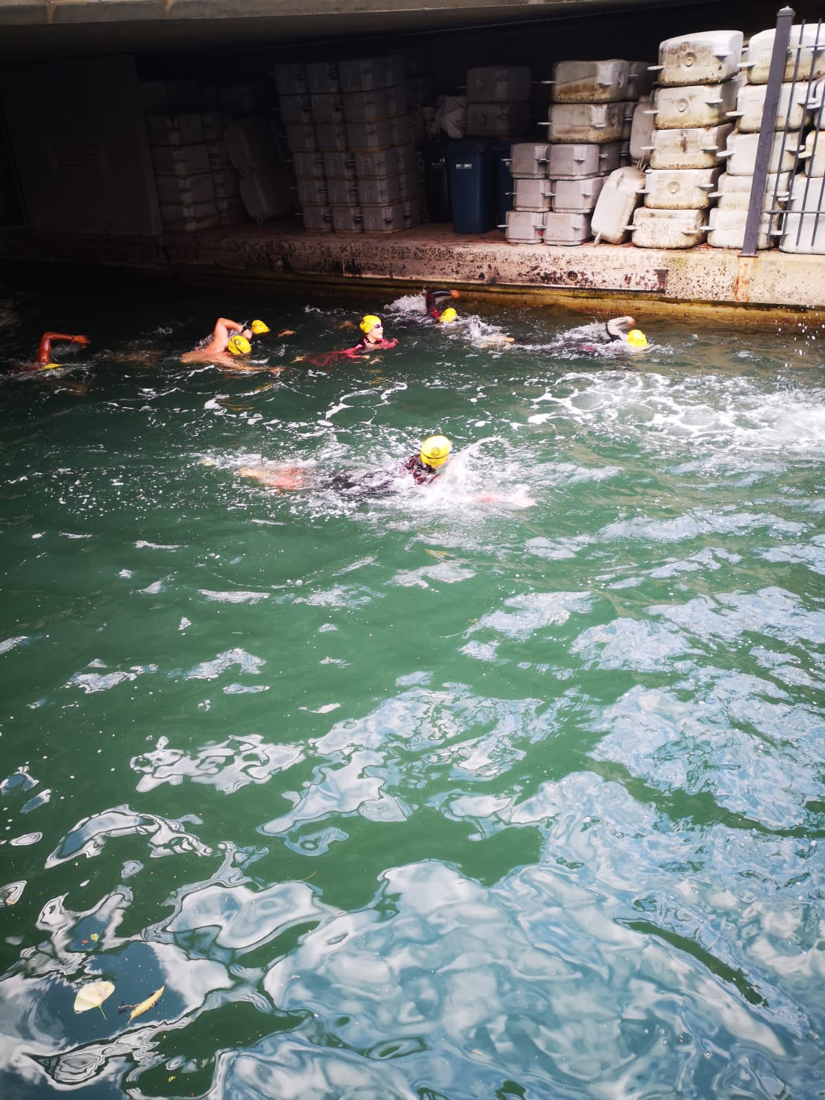 ATC Canal Swim start cover image