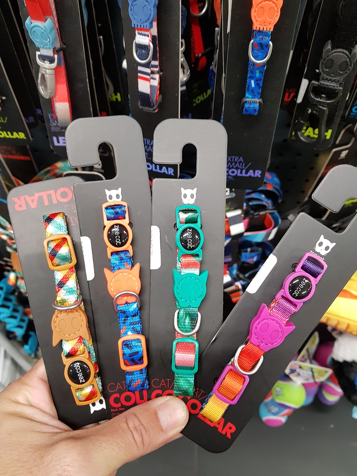 About Cats & Dogs Sanctuary Logo