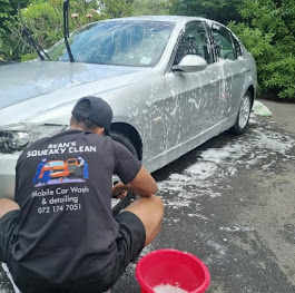 Sean's Squeaky Clean Mobile Car Auto Detailing Logo