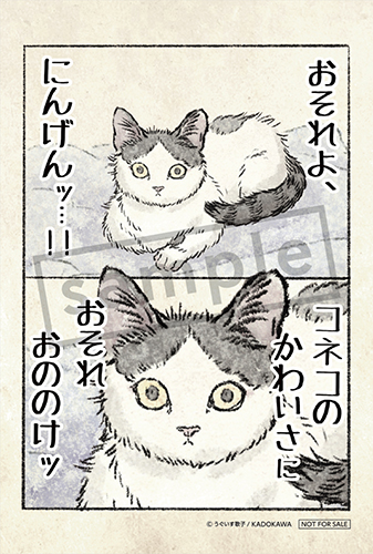 TSUTAYA限定特典あり】『今日もネコ様の圧が強い 2巻』お買い上げの方