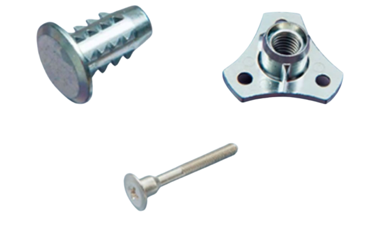 特大！ディオーンエデュレ！超美株　3頭　ソテツ　条件付き 特大！ディオーンエデュレ！超美株 3頭 ソテツ 条件付き 楽天市場】【最強