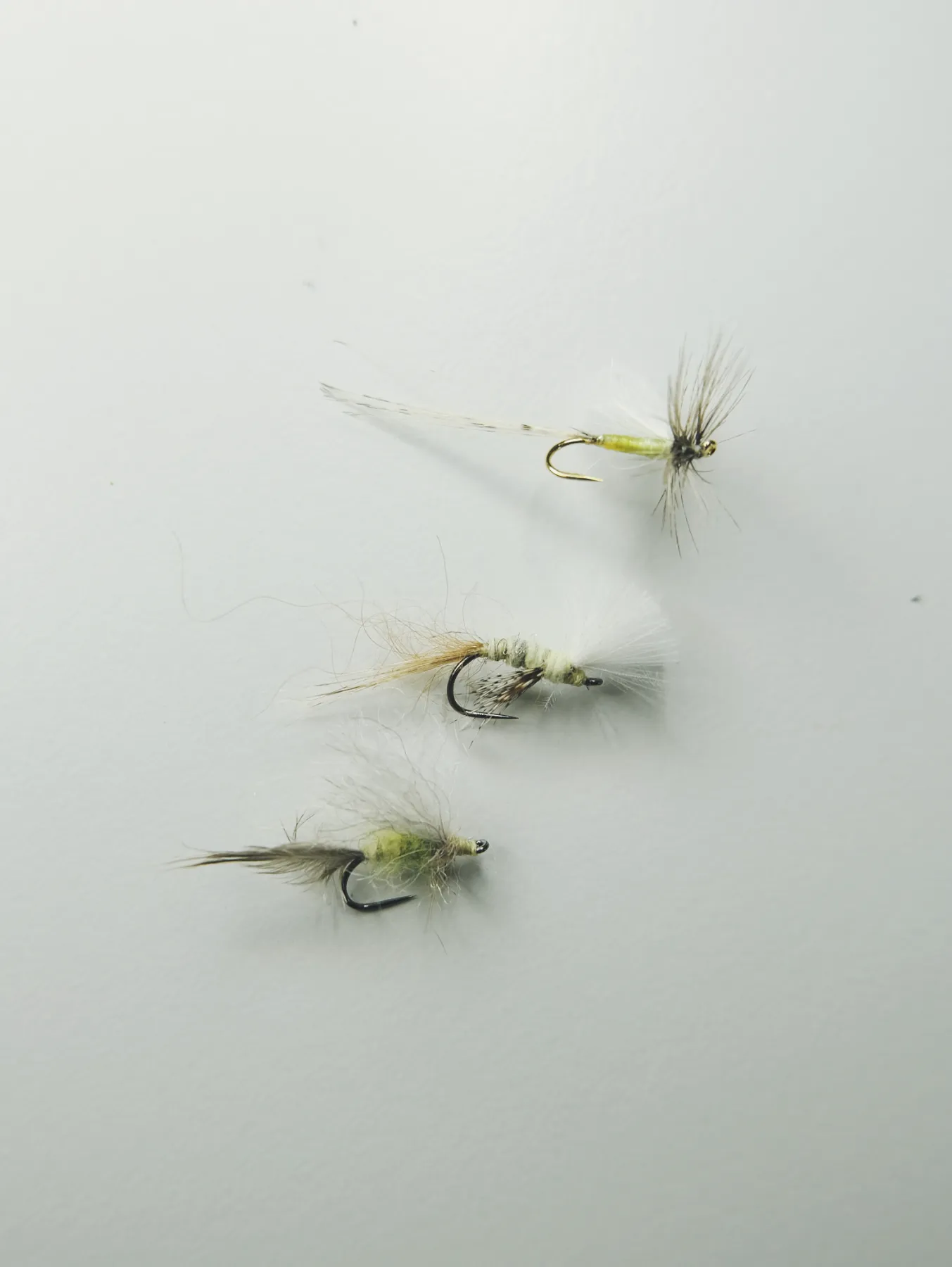 忍野解禁2024 ｜フライフィッシング 2024.3.16 ｜とあるフライ