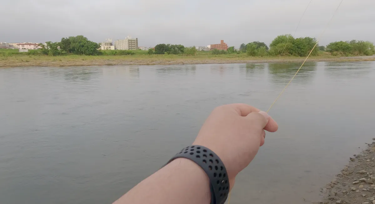 オイカワのドライフライフィッシング@多摩川 ｜とあるフライ