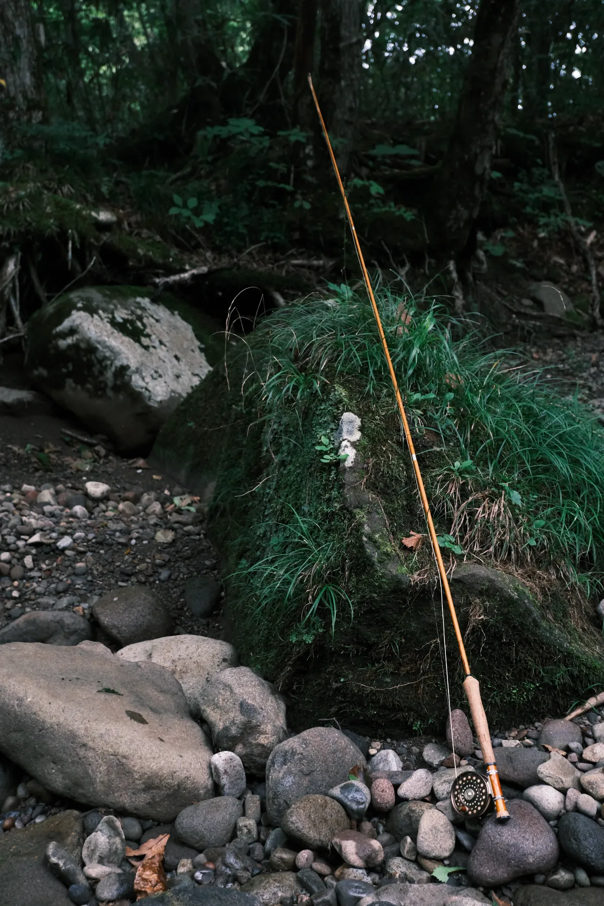 ルアー・フライ A FLY FISHER'S VIEW Kenshiro Shimazaki A FLY FISHER'S VIEW: Aquatic Insect Album / Kenshiro