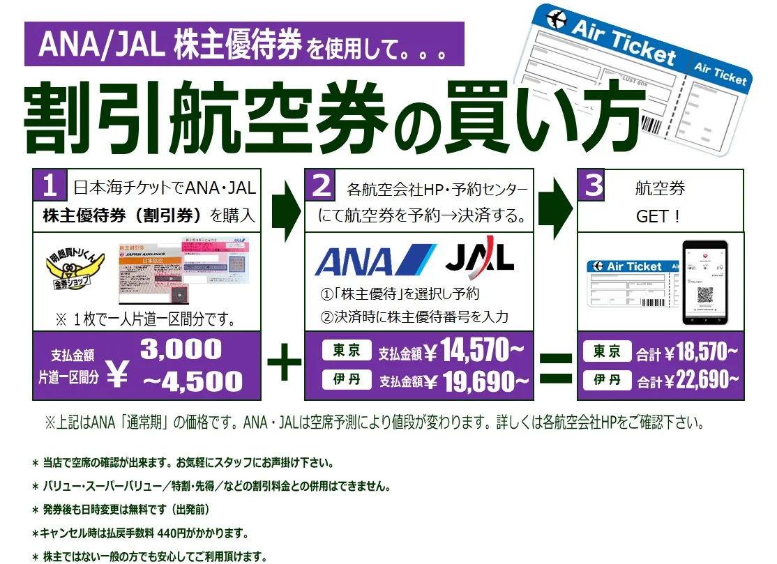 ANA株主優待 航空券 割引券 - 航空券