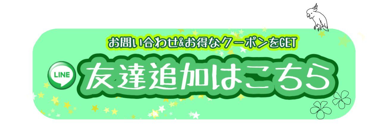 ≪格安販売≫ANA株主優待券4000円/JAL株主優待券4000円 日本海チケット