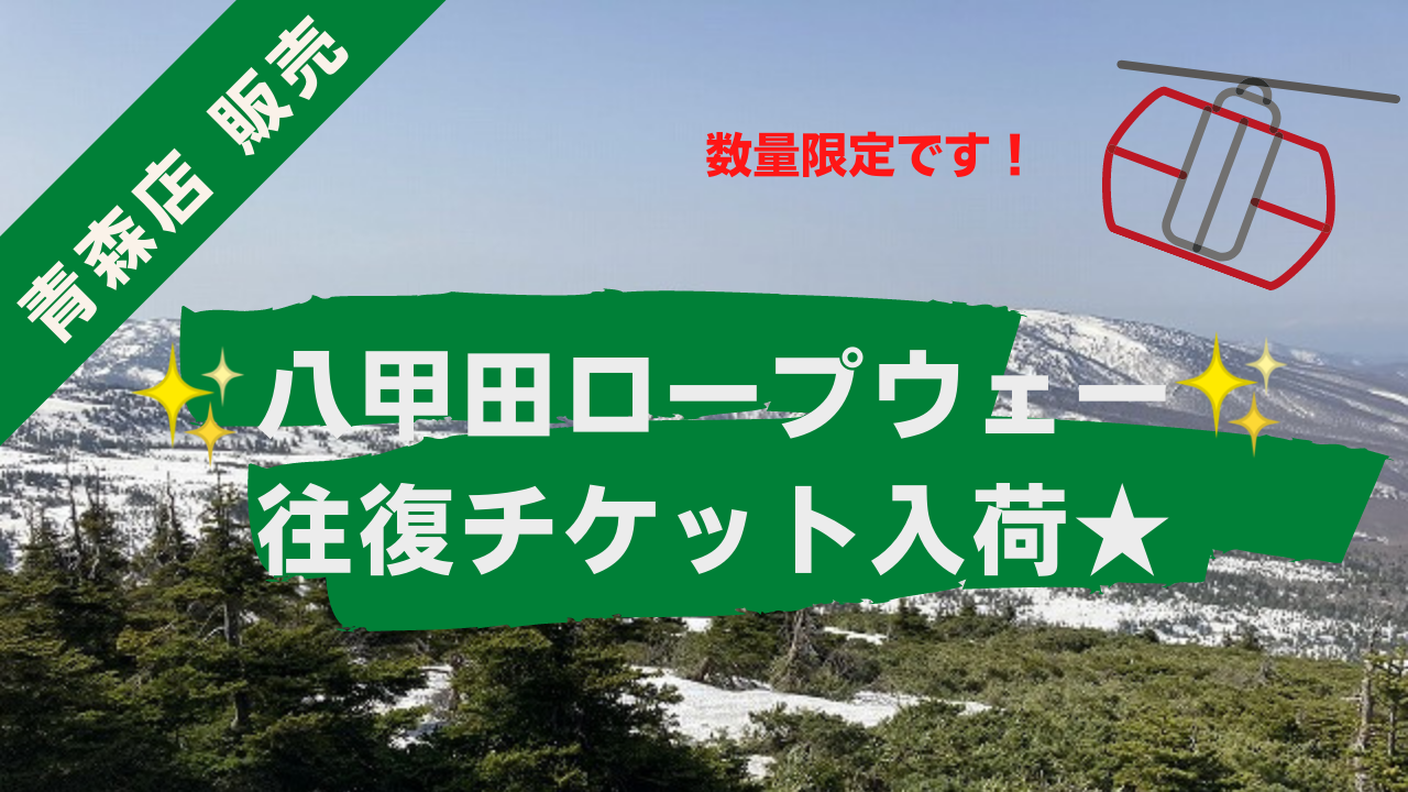 全国無料SALE 青森八甲田山ロープウェー・リフト回数券 H0cXC