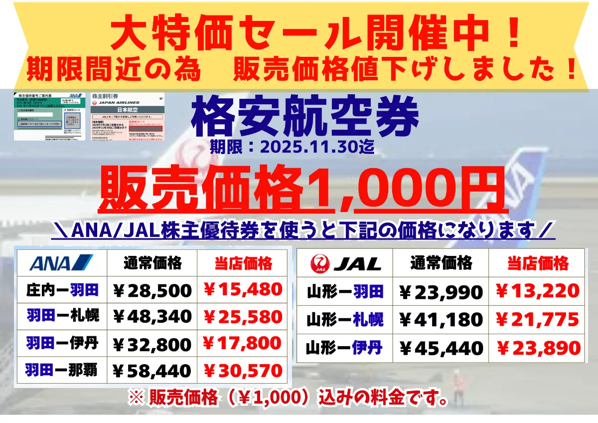 日本航空 JAL 株主割引券 2019/11まで 日本航空 JAL株主優待券３枚セット＋冊子 2019年11月搭乗