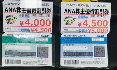 株主優待航空券　ANA  1枚