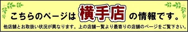 航空券が半額に】JAL・ANA 株主優待割引券（当日購入でも安い！） 日本