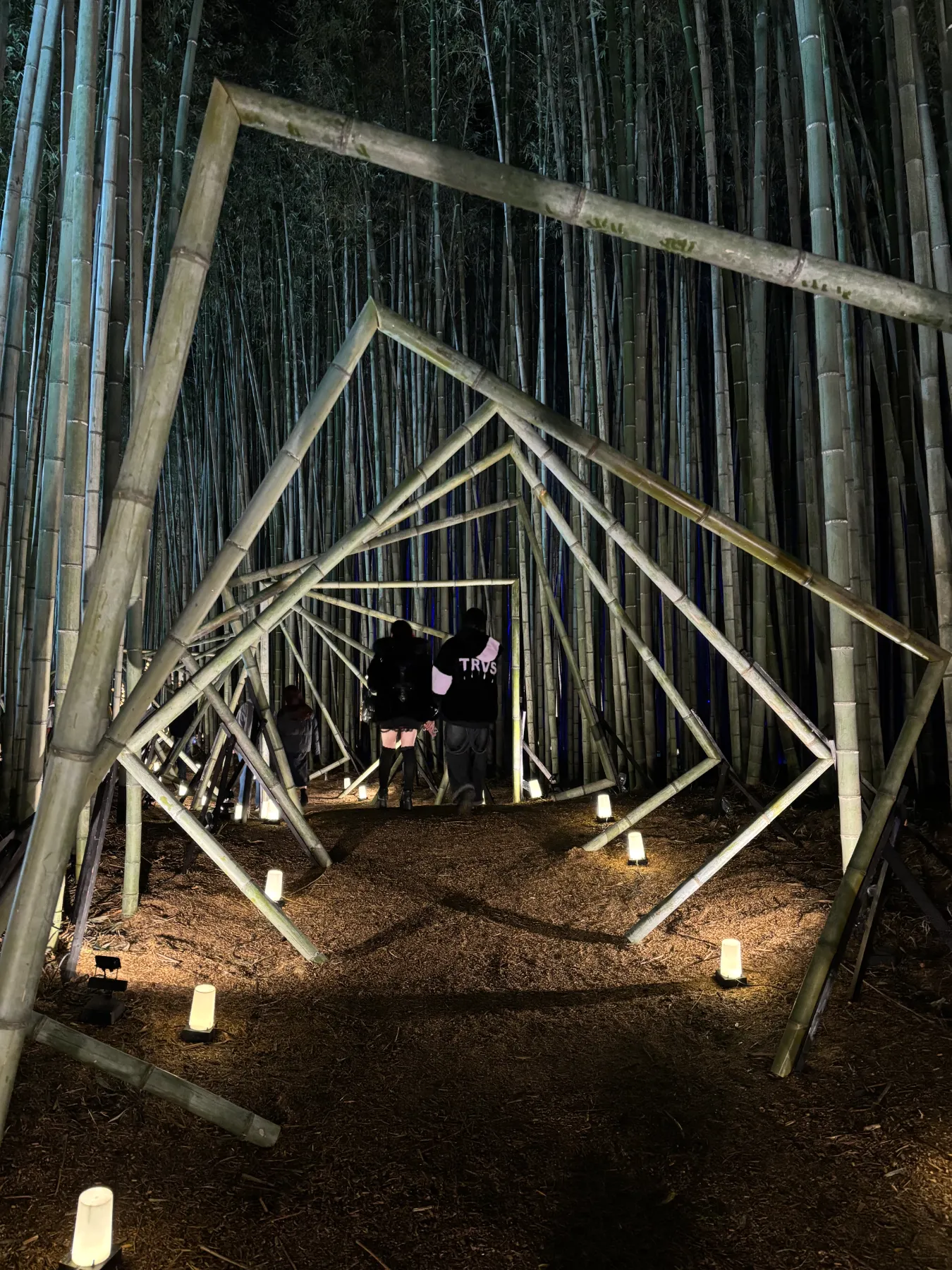 竹林アート空間演出/Bamboo forest art space production - humorous